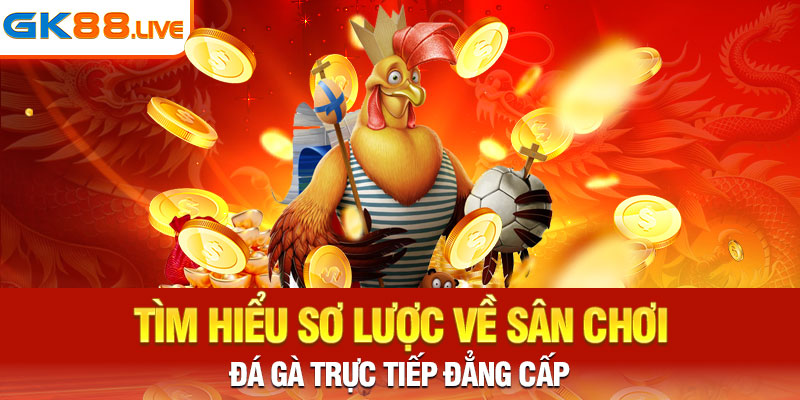 Tìm hiểu sơ lược về sân chơi đá gà trực tiếp đẳng cấp