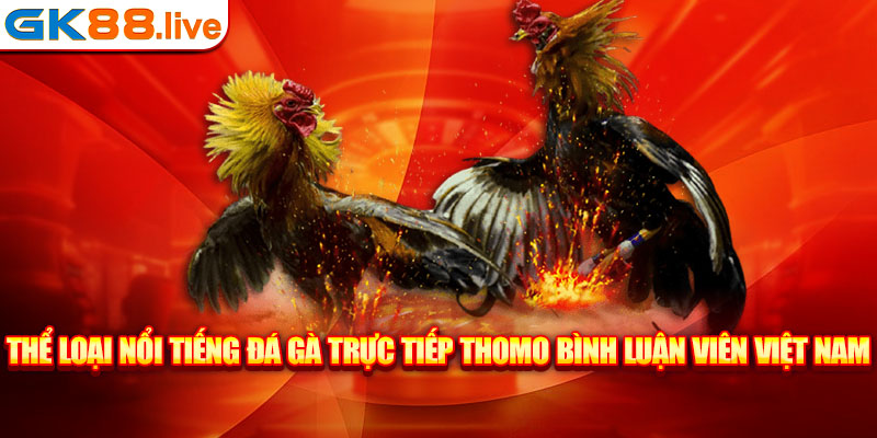 Thể loại nổi tiếng đá gà trực tiếp Thomo