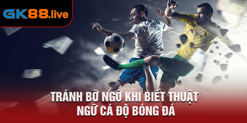 Tránh bỡ ngỡ khi biết thuật ngữ cá độ bóng đá